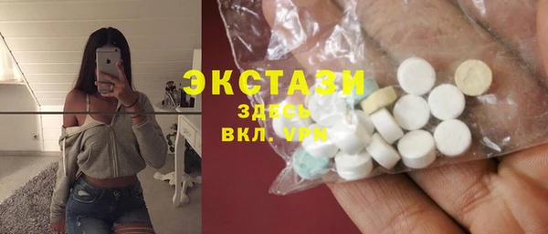 крисы Каменка