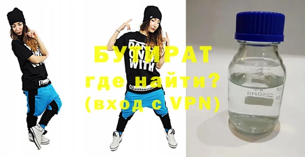 крисы Каменка