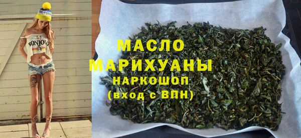 крисы Каменка