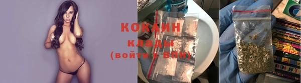 крисы Каменка