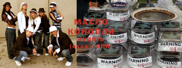 крисы Каменка