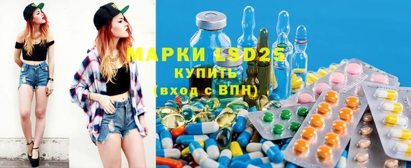крисы Каменка