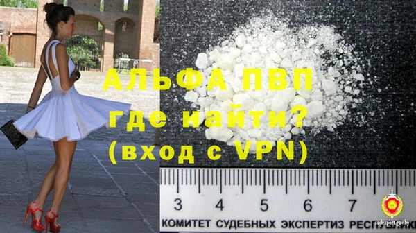 крисы Каменка