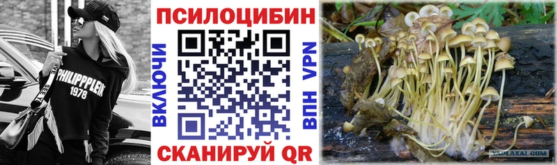 Псилоцибиновые грибы MAGIC MUSHROOMS  Купить  Иннополис 