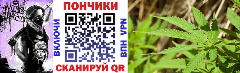 Купить где  Иннополис  Марихуана индика 